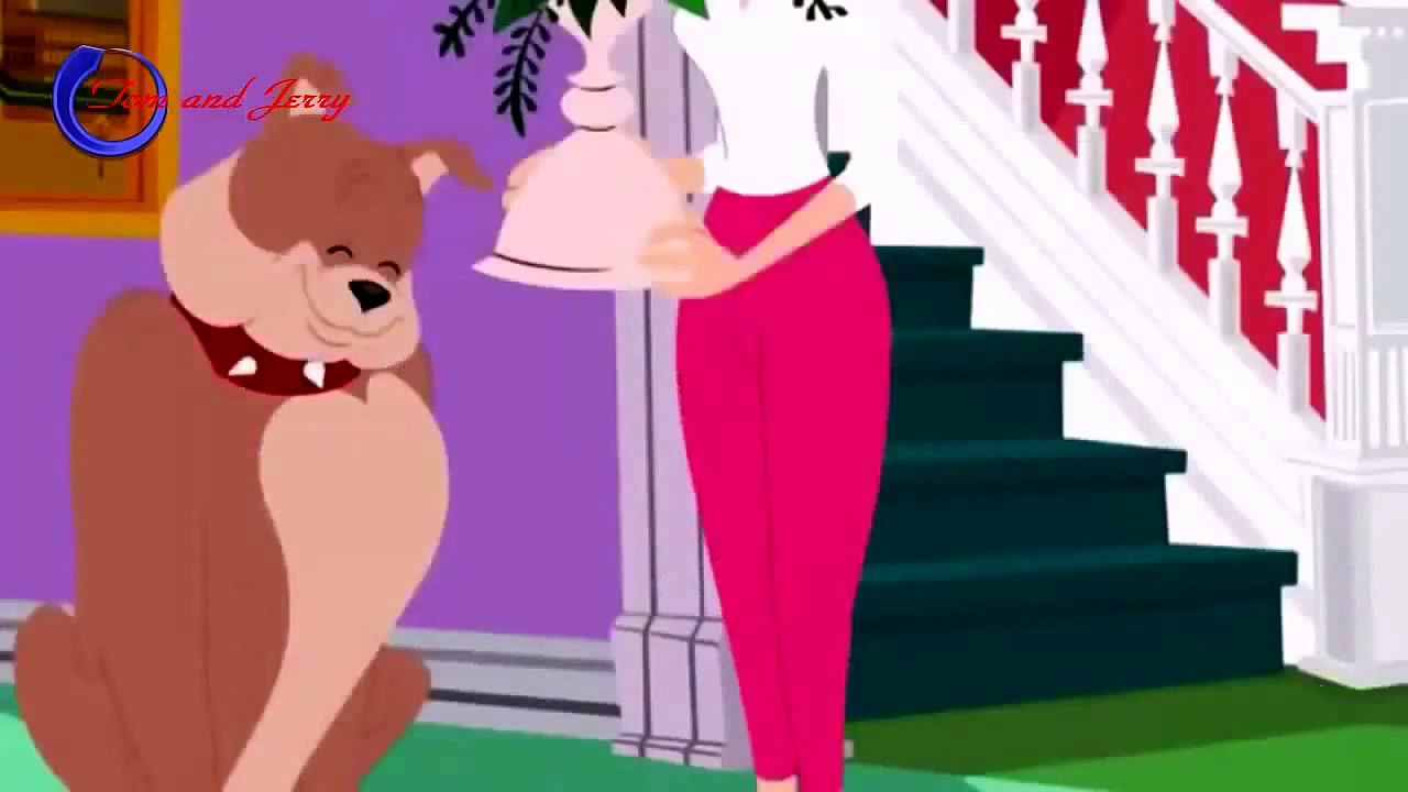Tom and Jerry 2015 -  Bad for Dog - so humorous - The best cartoon