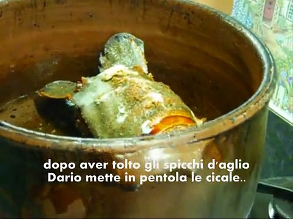 Linguine con sugo di cicala greca