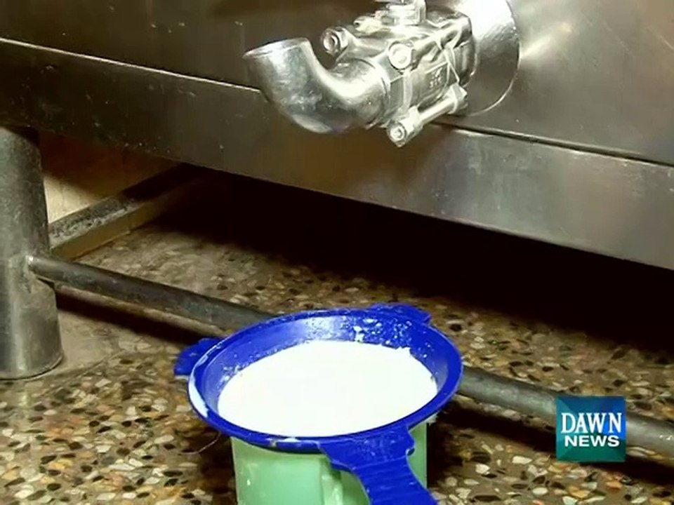 Banned drug injected into cattle is poisoning your milk