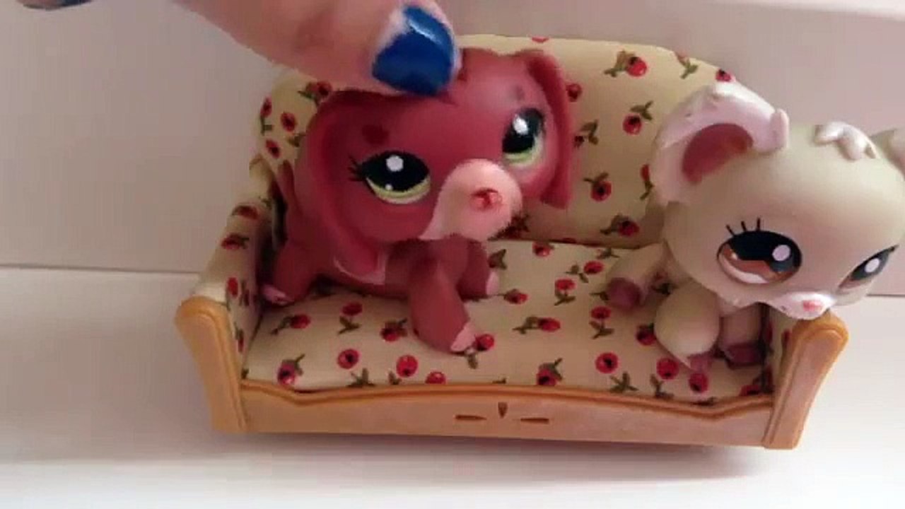 LPS: 15 Things To Do When Your Bored