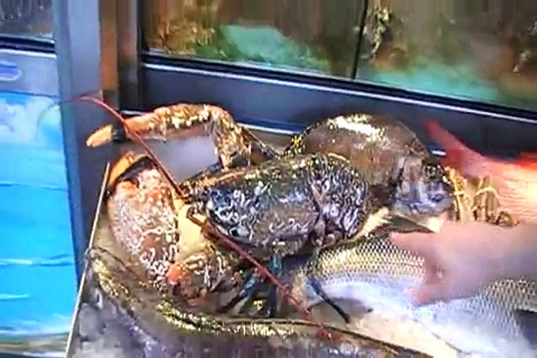 PESCADOS CORTINA DE VILLAVICIOSA  ASTURIAS SELECCIONADA EN EL AÑO  2 010 ENTRE LAS MEJORES PESCADERIAS DE ESPAÑA  xvid