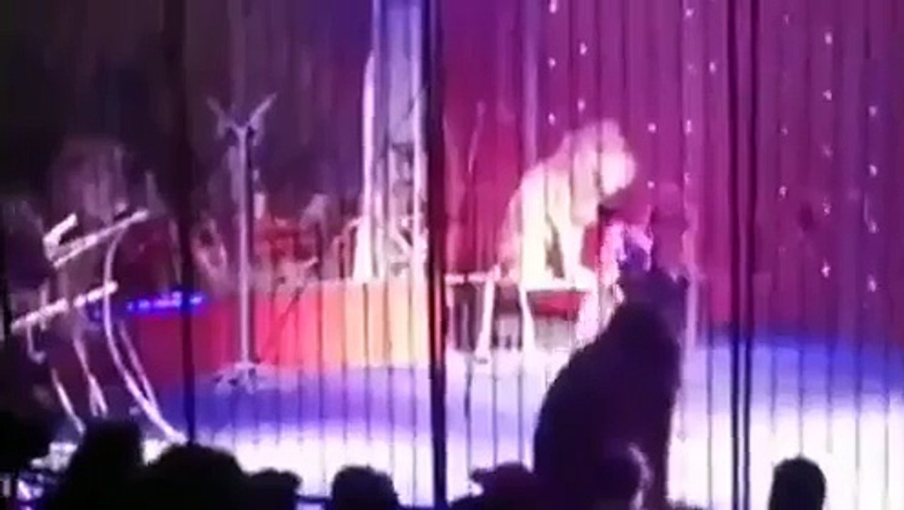 Egyptian Trainer Facesk Lion Attac during Circus Performance