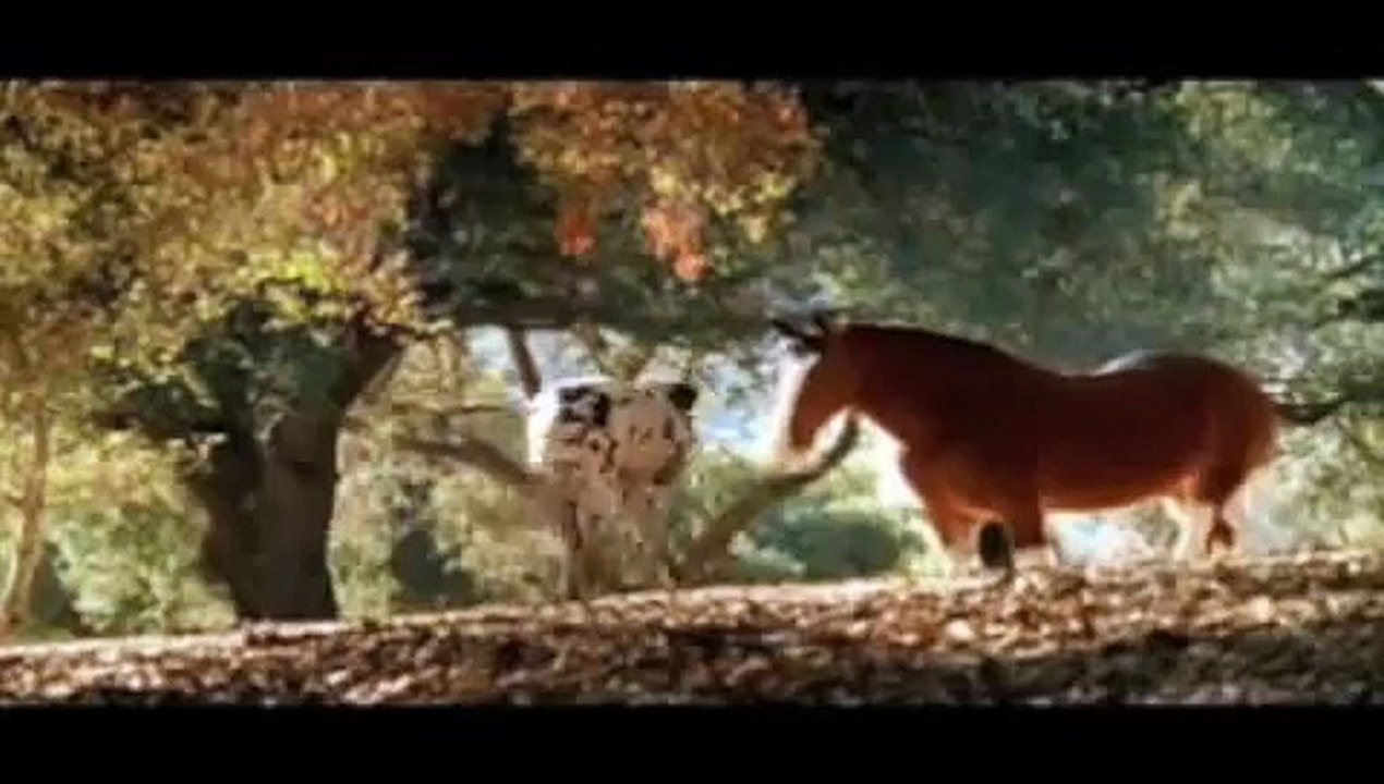 bud light - clydesdale