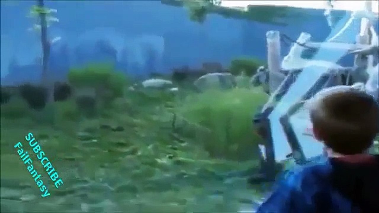 Animals Attack To Human   Extreme XXX Animals Attack   Funny Attack