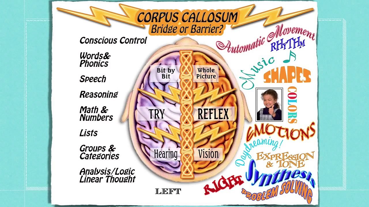 15 min Brain Integration Therapy Introduction with Jaynee Hodgkins