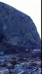 Sea Birds Over Haystack Rock