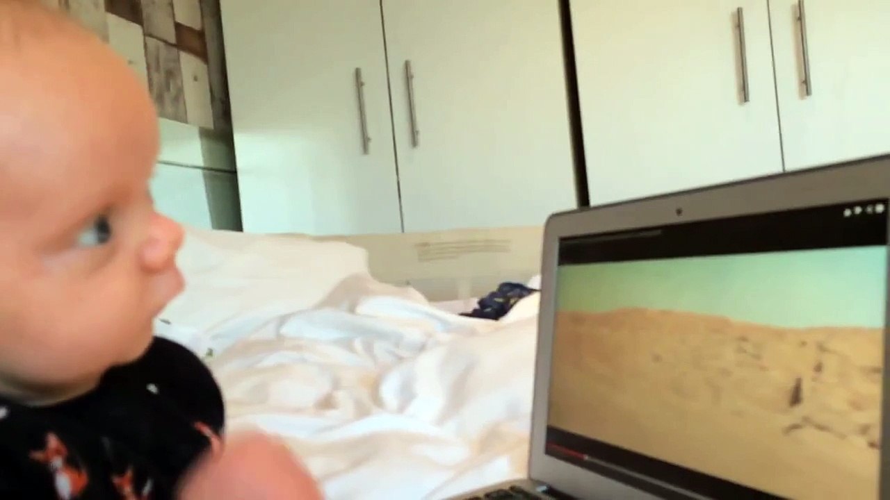 Six-week-old kid reacts to Star Wars: The Force Awakens trailer