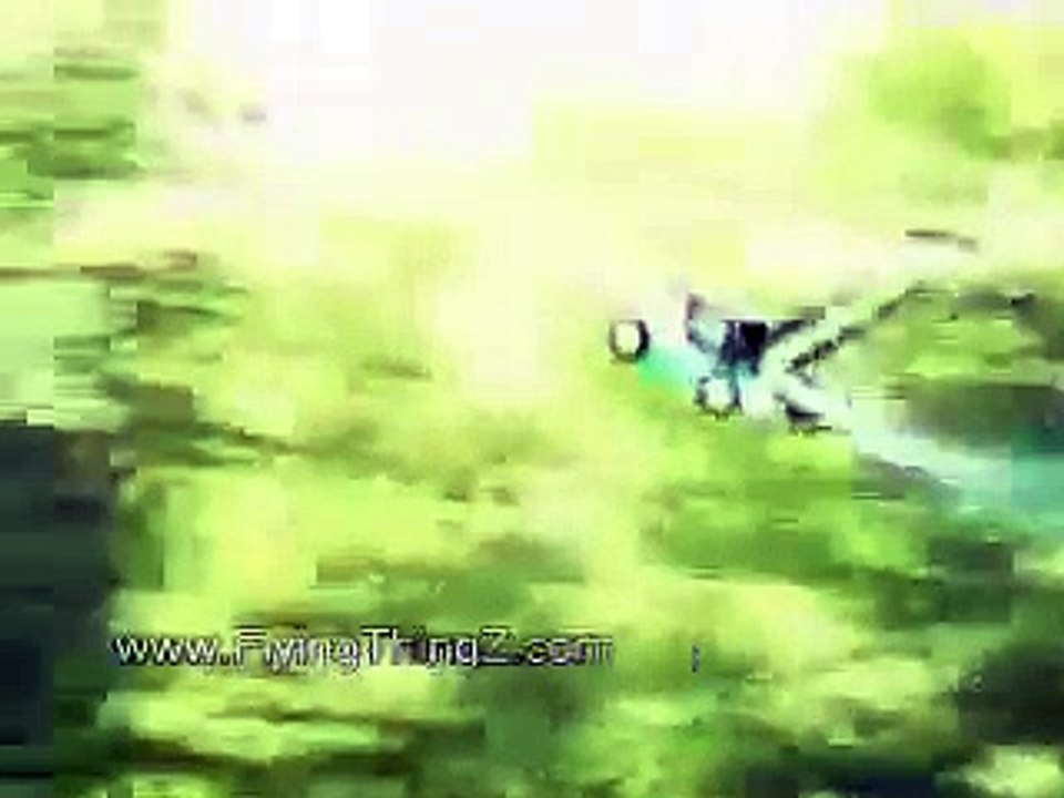 Cotton Eye Joe Flying Lawn Mower