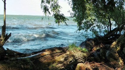 Langs de oude zeedijk....