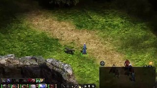 Pillars of Eternity: White March - Fast Attack Speed Tactics Update, Weapon & Shield style