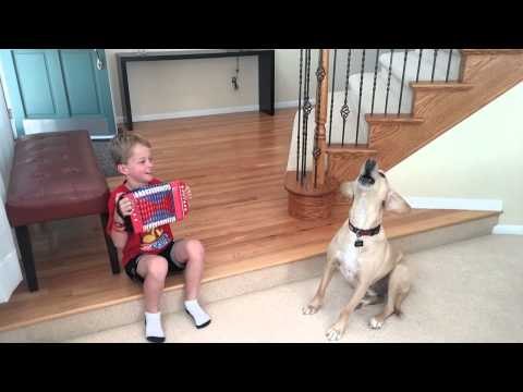Dog Yodeling Along with Kid's Accordion Playing