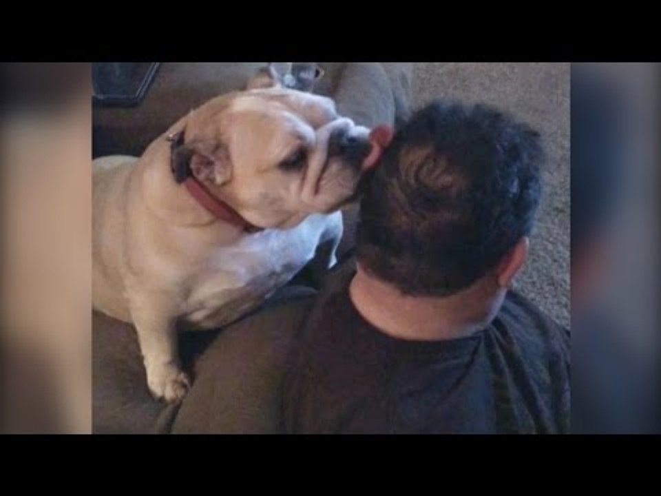 Dog Thinks Man Is An Ice Cream Cone