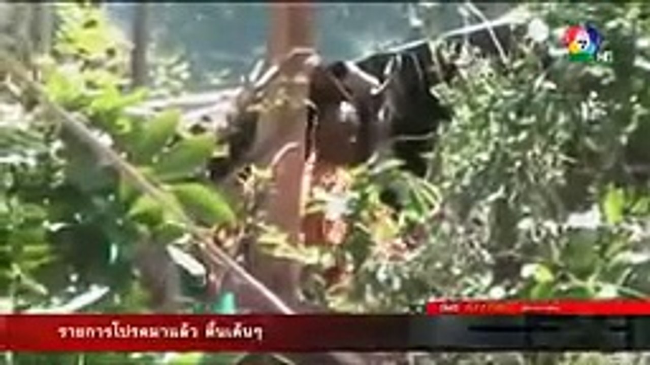 สะกดรอย พระมั่วสีกา เรื่องจริงผ่านจอ 2 กรกฎาคม 2558