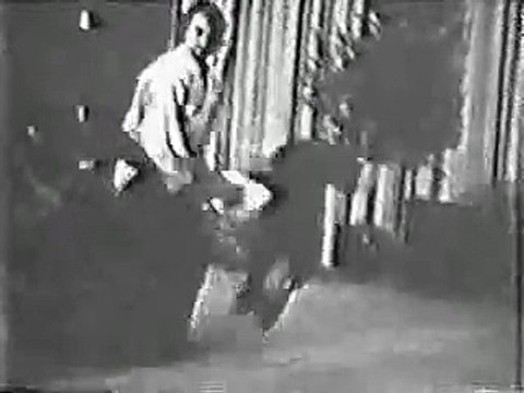 Steven Segal Kicking real life ASS! Aikido Martial Art