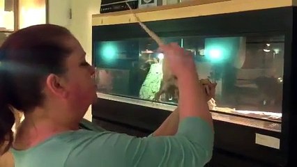 Is mijn baardagaam een man of een vrouw?