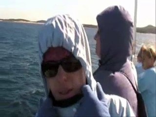 Whale Watching Port Stephens