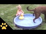 Dog Ruins Little Girls Rubber Duck Play Time