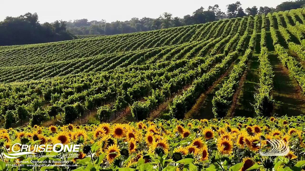 Viking Ocean Armagnac • Duncan, Desmarais & Associates CruiseOne • Wilton Manors, FL • Travel Agency