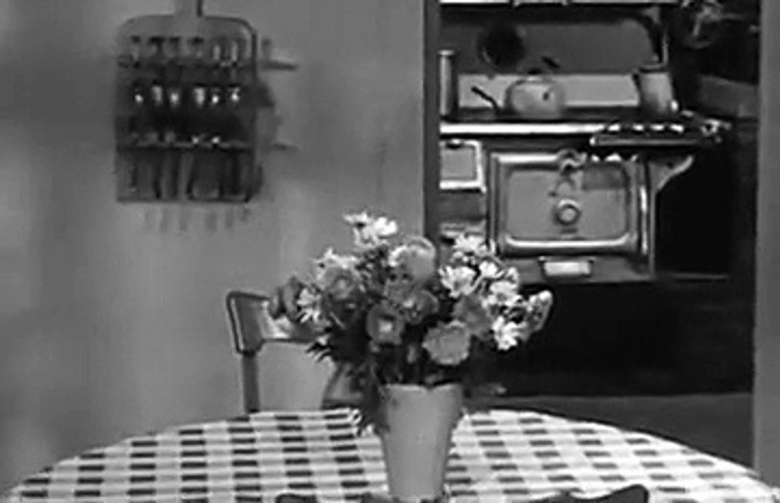 The Real Mccoys - S04E27 Kate Comes Home [Full Episode]