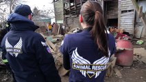 RAW: Animal Rescue Corps and Ohio County authorities rescue 54 animals