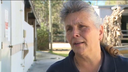 Wakulla County Animal Control Lowers Euthanization Rate, Works To Open Adoption Center