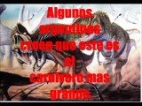 Top 10 - Los Dinosaurios Carnivoros mas largos - HD (Desactualizado)
