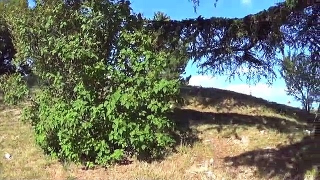 Alpes de Haute-Provence : Banon, la librairie et l'abbaye de Valsainte