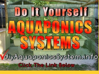 Easy DIY Aquaponics in Makawao