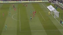 Jonathan Walters Ireland 1-0 Georgia 07.09.2015