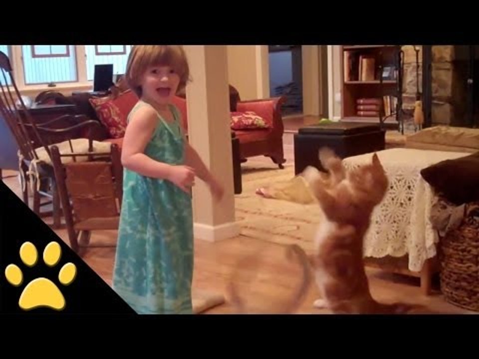 Cats Vs. Kids - Who Is Cuter? - Compilation