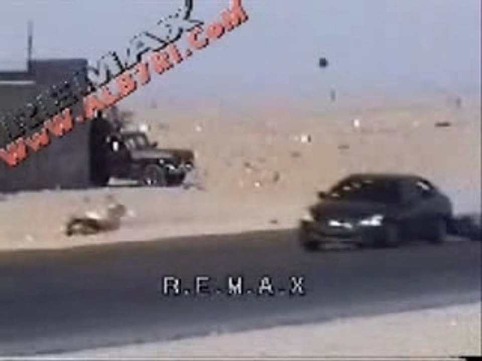 Rodéo en Arabie Saoudite !