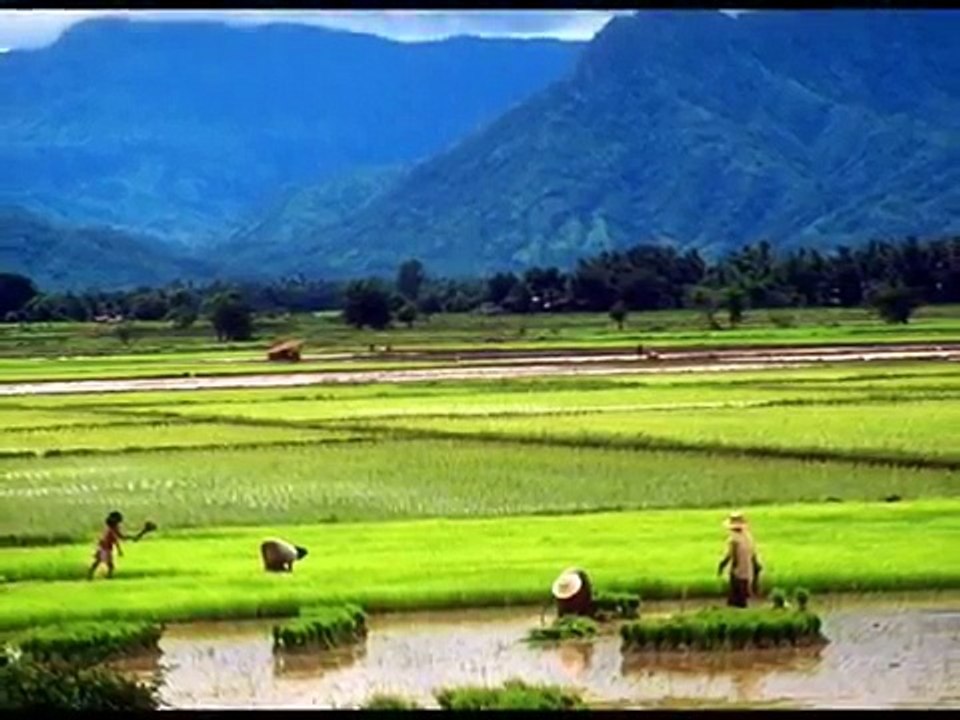 แม่(ต้นฉบับ) - แฮมเมอร์