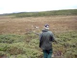 ptarmigan hunting in newfoundland  ( partridge hunting )