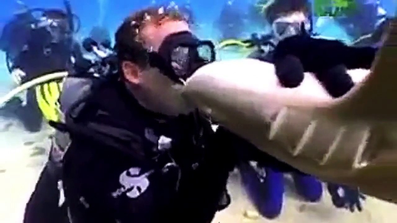 Extreme animal attacks on humans [ WATER EDITION ]