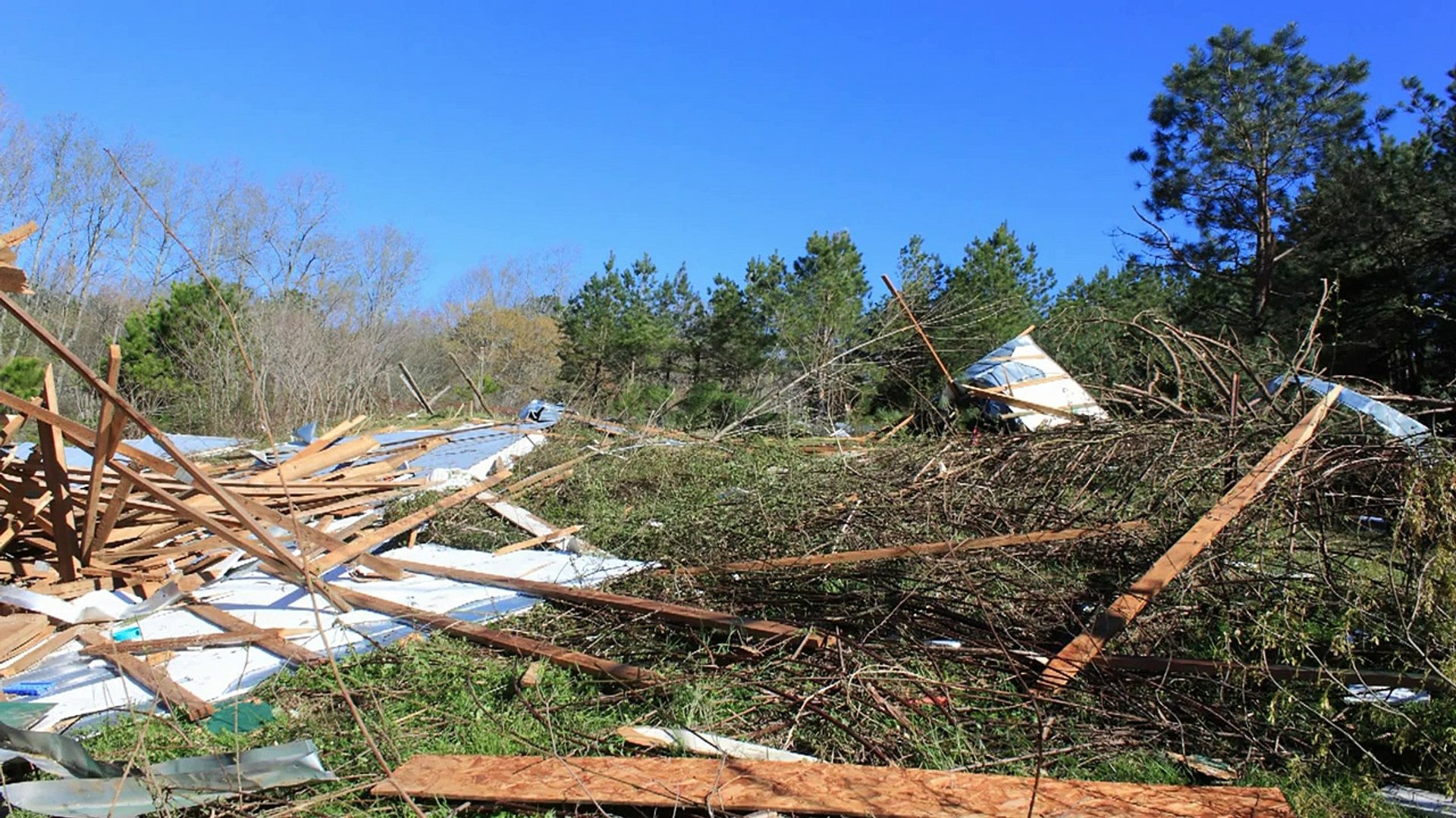 ⁣Build an Ark Animal Rescue after the tornado