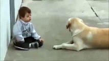 Loving Dog Takes Care of Little Boy with Down Syndrome