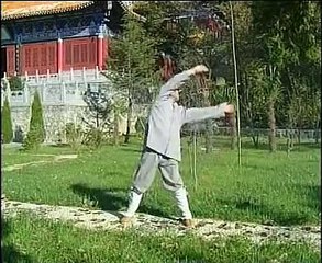 Shaolin Monk 8 Pieces of Brocade (Baduan Jin)