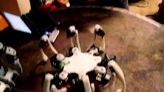 Hex walker Robot Spider
