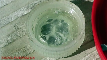 MERCURY reaction with NITRIC ACID