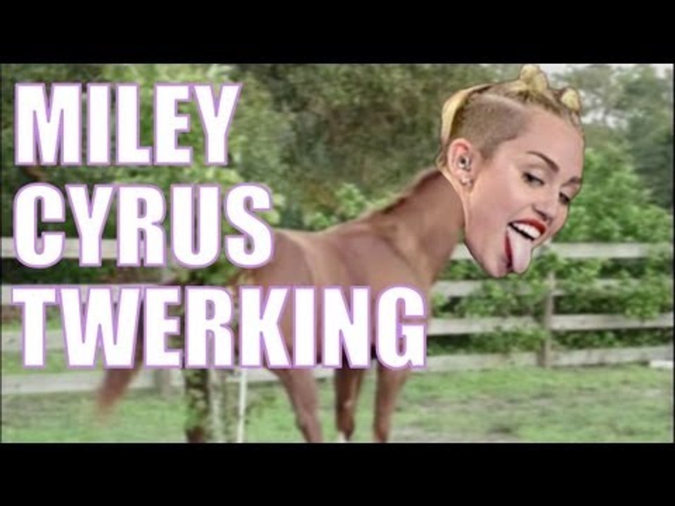 MILEY CYRUS TWERKING ANIMALS