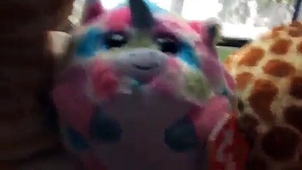Animal dance party! (Uptown funk)