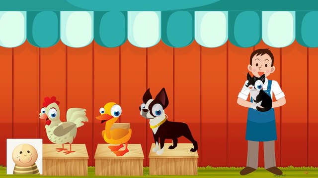 Mały Kot I Duży Kot - Niesamowite Zwierzaki- Baw się z nami