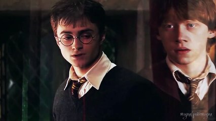 harry potter | i'd do it all again