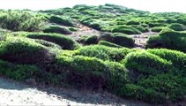 Lugares secretos de Menorca (Cala Totuga y Cala Presili)