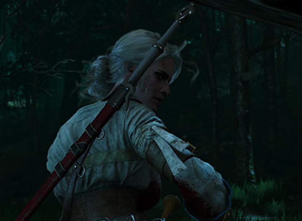 The Witcher 3, Video Guía: Tras los pasos de Ciri - Velen: Las Damas del Bosque