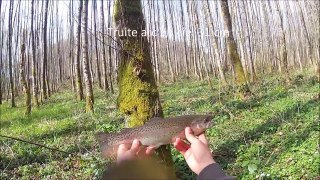 La pêche de la truite arc en ciel en ruisseau ! HD
