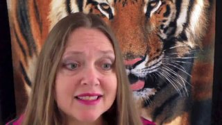 California Lion Attack: Intern Diana Hanson, 24, Killed at 'Cat Haven' Sanctuary