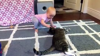 Cat and Baby BFFs