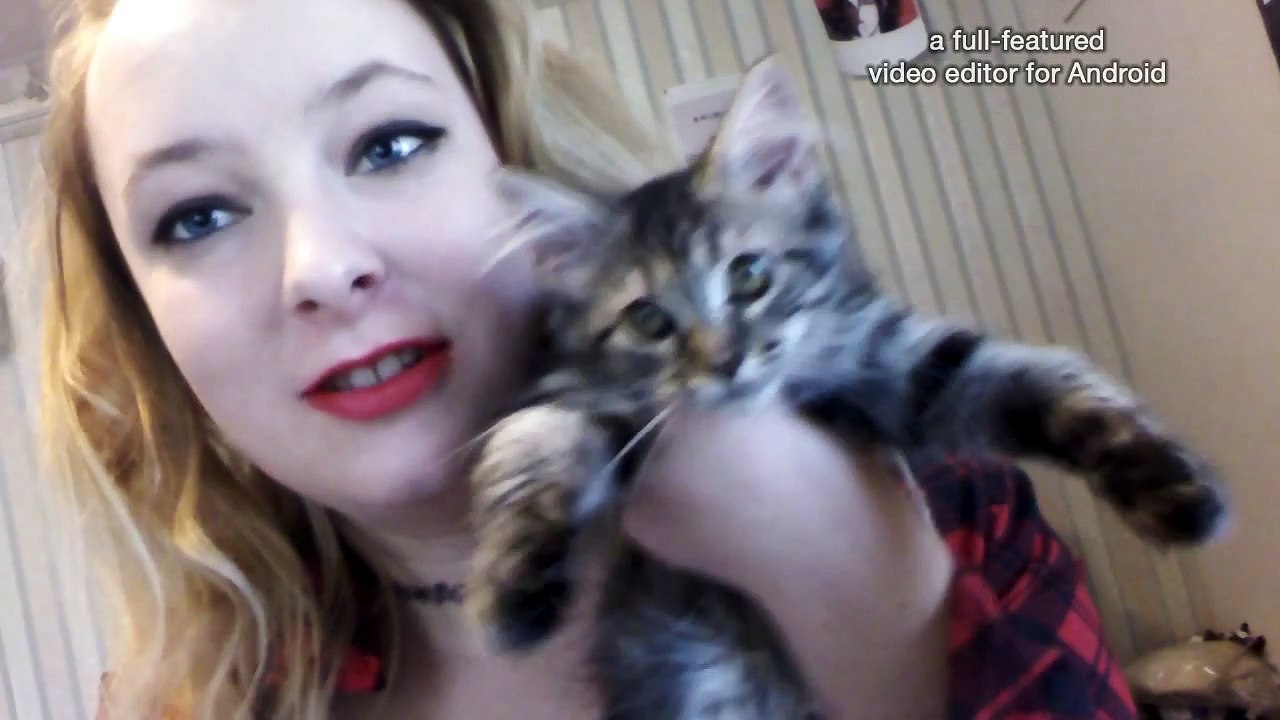 MY NEW CAT (+ME BEING A CHATTE)