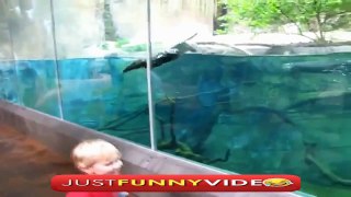Epic Funny Fails Compilation Funny videos 2015 Best Jokes of 2015